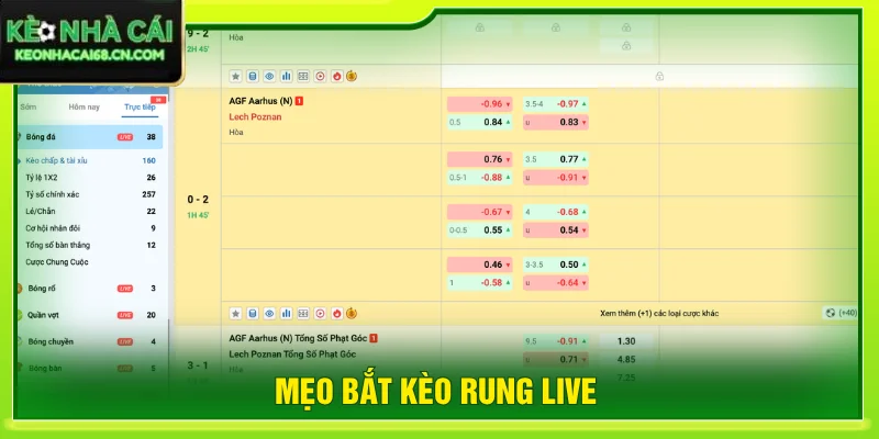 mẹo bắt kèo rung live